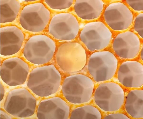 Fotógrafo amplia uma única célula do favo de mel usando uma lente macro para revelar seus padrões