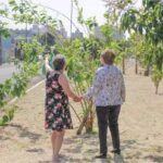 Mulher planta, árvores frutíferas para pessoas colherem à vontade