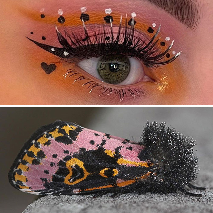 Artista mostra a beleza dos invertebrados através da maquiagem