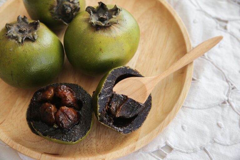 Sapota preta: conheça a ‘fruta pudim de chocolate’