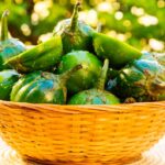 Jiló, conheça 8 benefícios que podem te fazer dar uma chance a este fruto