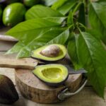 Folhas de abacate têm propriedades medicinais e podem ser consumidas na forma de chás