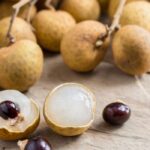 Pitomba, fruta exótica do Nordeste