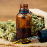 “Meu pai só está vivo por causa da Cannabis”, diz médica prescritora