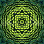 Fractais da consciênca – Simetria através do Caleidoscópio