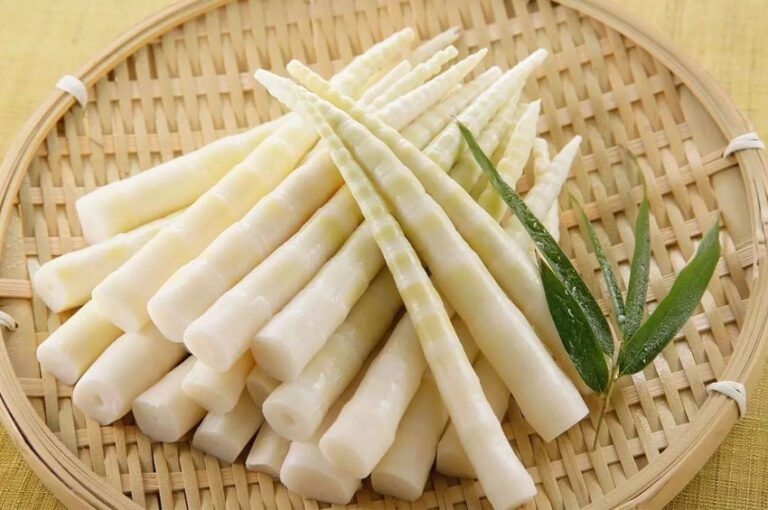 A culinária do Broto de Bambu