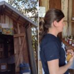 Barraca sem atendente em sítio no PR encanta moradores e turistas