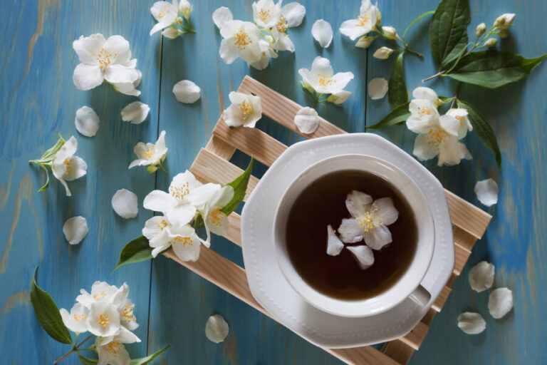 Chá de jasmin: benefícios, como fazer e contraindicações