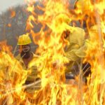 Mulheres formam a primeira brigada feminina de incêndio da Serra do Amolar