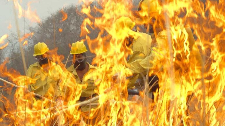 Mulheres formam a primeira brigada feminina de incêndio da Serra do Amolar