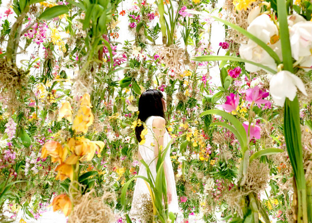 Conheça o jardim de flores ‘flutuantes’ de Tóquio
