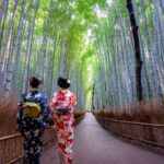 A beleza e a simbologia do bambu na cultura Japonesa