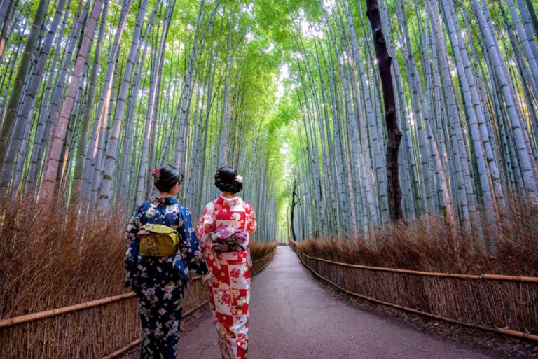 A beleza e a simbologia do bambu na cultura Japonesa