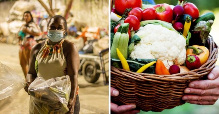 “Agroecologia contra Fome” distribui 1500 cestas de alimentos