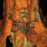 A curiosa identidade da múmia tatuada de 3 mil anos