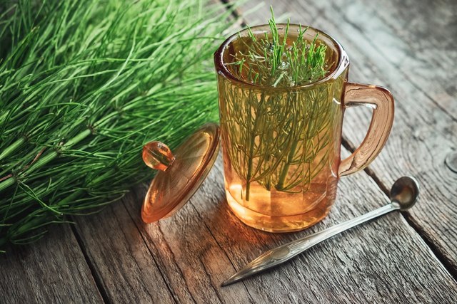 10 receitas de chá para acabar com a infecção urinária