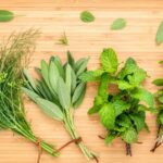 Ervas aromáticas – Noções básicas para o trato das ervas cultivadas ao ar livre