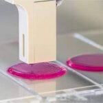 Cientistas brasileiras criam células cerebrais vivas em 3D