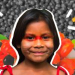 As lendas da Amazônia na compreensão de mundo das crianças