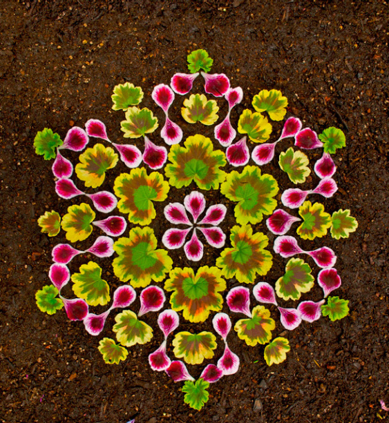 Artista cria lindas mandalas com flores