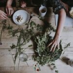 Sesc oferece curso gratuito sobre plantas medicinais