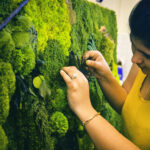 Eu crio arte com musgo