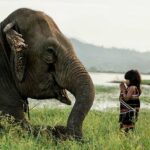 Fotos que mostram as pessoas e paisagens do Vietnã