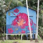 Projeto leva água potável, energia solar e arte para casas ribeirinhas