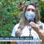 Pedagoga transforma depósito clandestino de lixo em lindo bosque verde