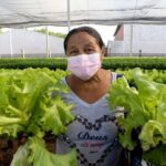 Projeto de horta orgânica em Fortaleza distribui alimentos a quem precisa