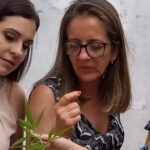 Projeto Mães Jardineiras reúne mulheres para cultivar Cannabis medicinal