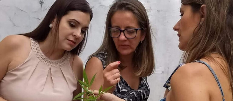 Projeto Mães Jardineiras reúne mulheres para cultivar Cannabis medicinal