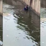Mulher entra em piscinão e salva cachorro de afogamento [vídeo]