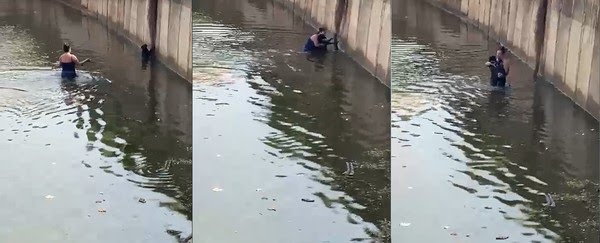 Mulher entra em piscinão e salva cachorro de afogamento [vídeo]