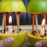 Repelente e aromatizador natural: veja como fazer