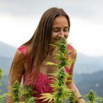 Um terço das canadenses usam Cannabis para lidar com a menopausa