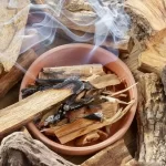 A medicina do palo santo