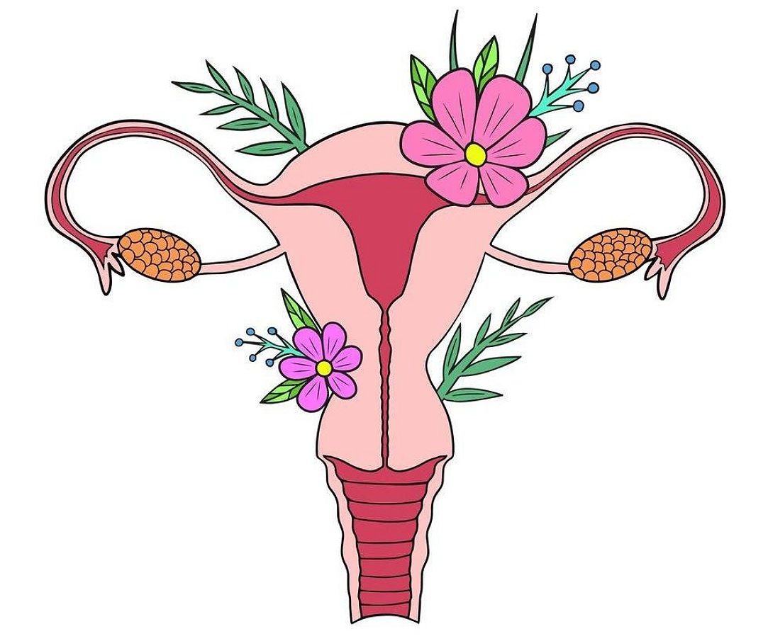 Como cuidar da saúde íntima