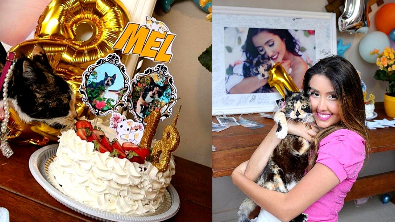 Felina e tutora possuem um ano de diferença