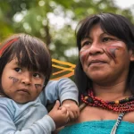 Greenpeace lança atividades pedagógicas sobre a Amazônia