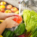 Higiene e conservação dos alimentos