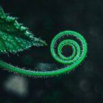 A espiral e os ciclos do universo