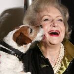 Betty Challenge arrecada R$ 65 milhões para abrigos de animais
