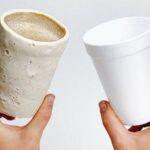 “Isopor” compostável é desenvolvido por duas mulheres