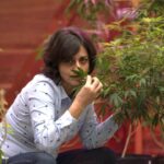 Margarete, a primeira brasileira a conseguir autorização judicial para plantar a Cannabis