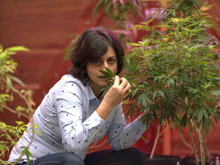 Margarete, a primeira brasileira a conseguir autorização judicial para plantar a Cannabis