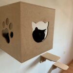 Nichos e prateleiras para gatos