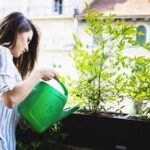 O que e quais são as plantas perenes?