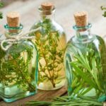 Plantas que dão suporte energético para o corpo sútil