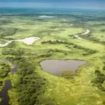 Biomas brasileiros: Pantanal